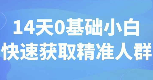 14天0基础小白快速获取精准人群 【3.1GB】