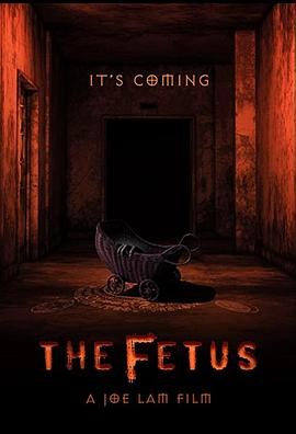胎儿 The Fetus
