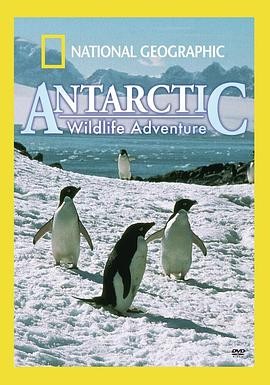 国家地理：南极冰原 Antarctic Wildlife Adventure