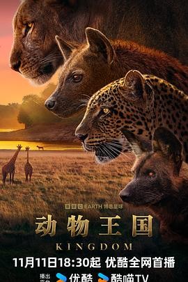 动物王国 Kingdom