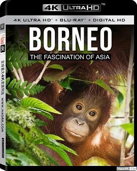 婆罗洲：亚洲的魅力 Borneo The Fascination of Asia